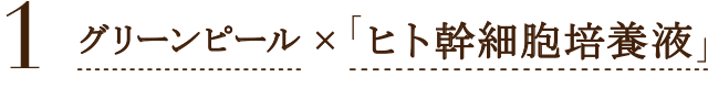 1 「グリーンピール」×「リアボーテ ヒト幹細胞培養液、との相乗効果でツヤ肌