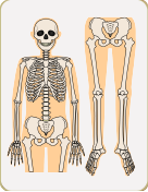 ノットノットの小顔矯正・骨格矯正