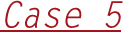 Case 5