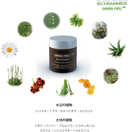 水辺の植物 ヒバマタ・トクサ・オオバアオサ・スピルリナ 大地の植物 スギナ・パンジー・アロエバラ・トウキンセンカ カミツレ・ハイムラサキ・ヘラオオバコ