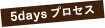 5daysプロセス