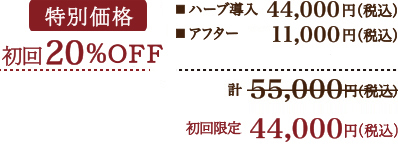 グリーンピール5days 通常価格［60分］44,000円（税込）アフタートリートメント［60分］通常価格 11,000円（税込）