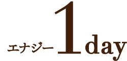 内面美のサポート・ホームケア無しコース エナジー 1day