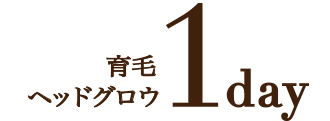 グリーンピール育毛1day、グリーンピールヘッドグロウで、健やかな頭皮・コシのある毛髪へみちびきます。