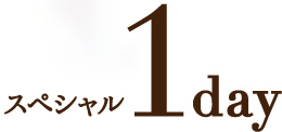 若々しい健康な肌を目指すコース スペシャル 1day