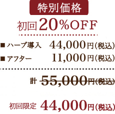 グリーンピール5days 通常価格［60分］44,000円（税込）アフタートリートメント［60分］通常価格 11,000円（税込）