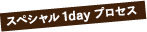 スペシャル1dayプロセス