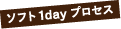 ソフト1dayプロセス