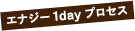 エナジー1dayプロセス