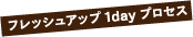 フレッシュアップ1dayプロセス