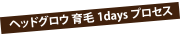 ヘッドグロウ 育毛 1daysプロセス