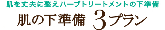 肌を丈夫に整えハーブトリートメントの下準備 肌の下準備3プラン