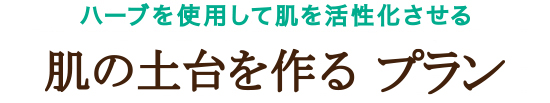ハーブを使用して肌を活性化させる 肌の土台を作るプラン リアボーテハーブトリートメント