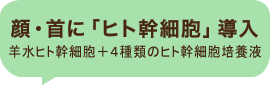 ヒト幹細胞エステのリアボーテ ACトリートメント グランACトリートメント。