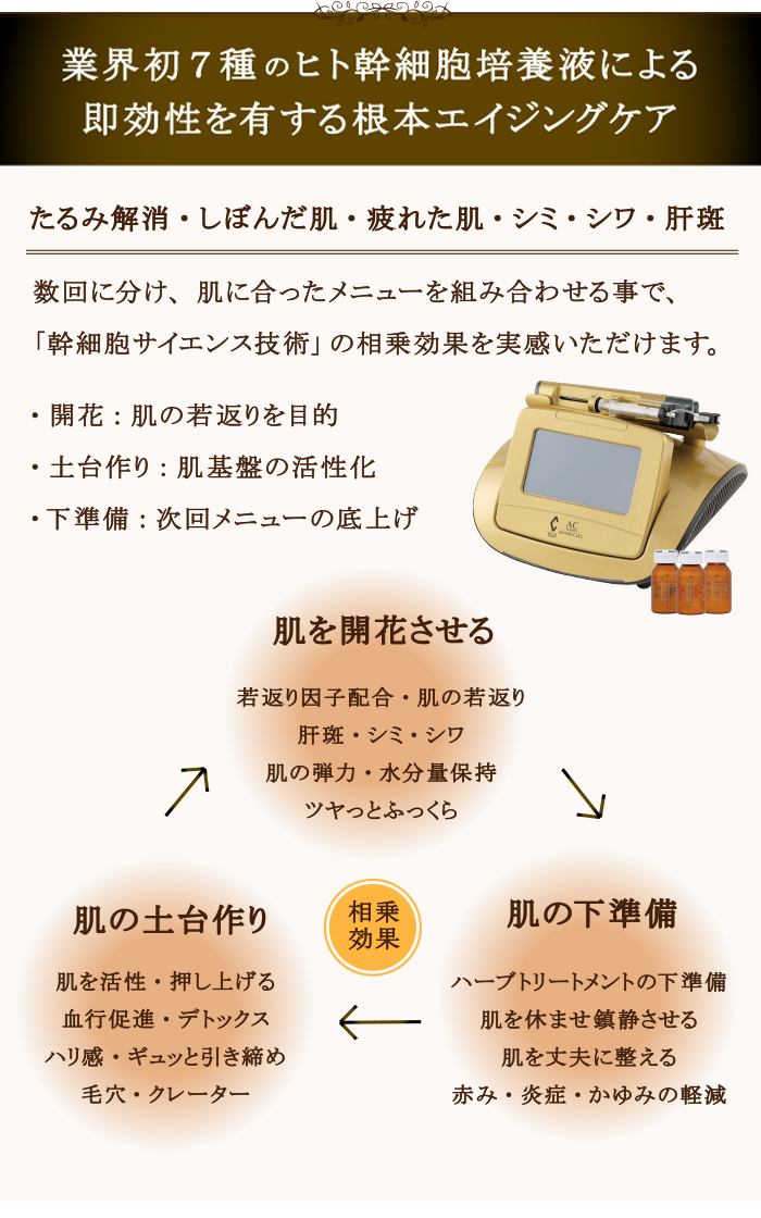 業界初７種のヒト幹細胞培養液による即効性を有するエイジングケア。「たるみ」「くすみ」「疲れた肌」「しぼんだ肌」「シワ」「シミ」「肝斑」「クレーター」「ハリ感」リアボーテ ハーブトリートメント、リアボーテACトリートメント、グランACトリートメント。「原液」以上の「原液」を打ち込むという「導入型エステ」次世代の最先端成分を使い根本からのエイジングをめざすリアボーテの「ヒト幹細胞培エステ」をご用意しております。ハーブトリートメントの下準備にも。下準備する期間 細胞を休ませ鎮静させる「レストセルトリートメント」赤み・炎症・かゆみの軽減「クィーンフィトセルトリートメント」細胞を丈夫に整える「リアボーテタラソトリートメント」活性化させる、細胞を活性化ハリ感・ギュッと引き締め「リアボーテハーブトリートメント」肌を開花させる若返り因子を多く含む肌の弾力・水分量保持「リアボーテACトリートメント」「グランACトリートメント」 /></div>
			<br />
			<div class=