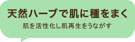 天然ハーブで肌に種をまく 肌を活性化し肌再生をうながす グリーンピール リアボーテハーブトリートメント