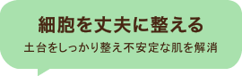 細胞を丈夫に整える 土台をしっかり整え不安定な肌を解消
